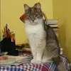 Отзыв от Фаина Прокофьева